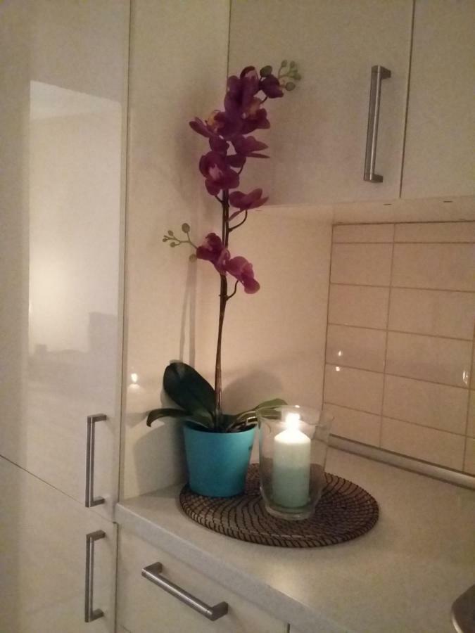 Angel Apartment Nr 4 Near To The Center 布拉格 外观 照片